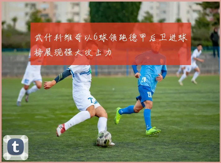 武什科维奇以6球领跑德甲后卫进球榜展现强大攻击力